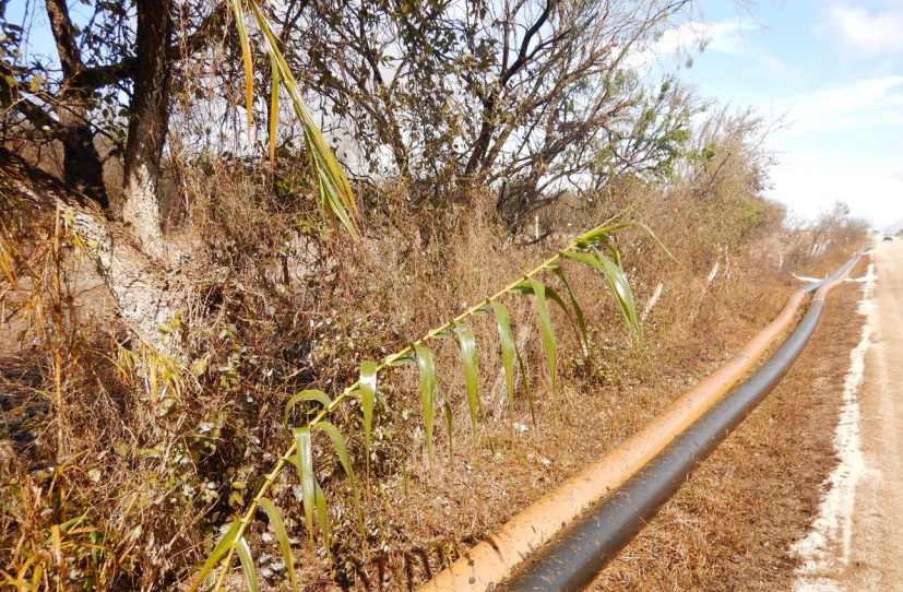 State fines Devon Energy $97,500 for well blowout in rural DeWitt County